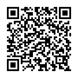 QR ae80417