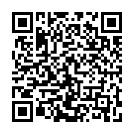 QR ae81838