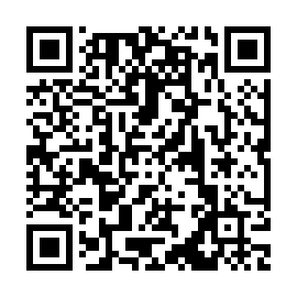 QR ae93333