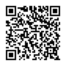 QR b01141a