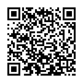 QR b04c25e