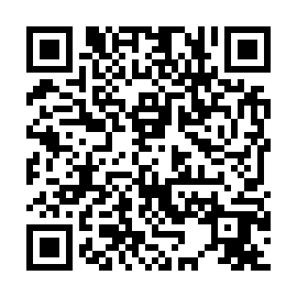 QR b11e099