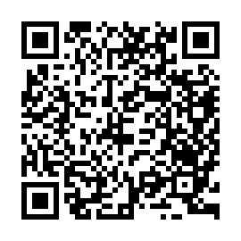 QR b13d28a