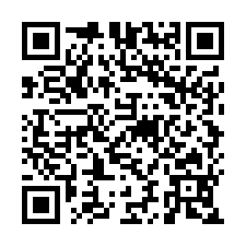 QR b17e981