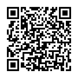QR b17ef3b