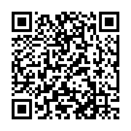 QR b205d9c