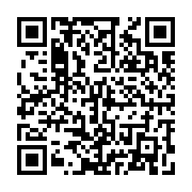 QR b213e9f