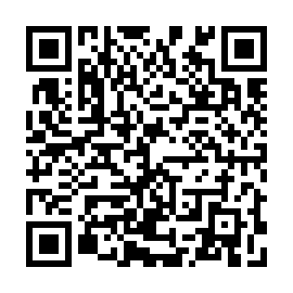 QR b253e58