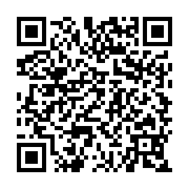QR b27e33e