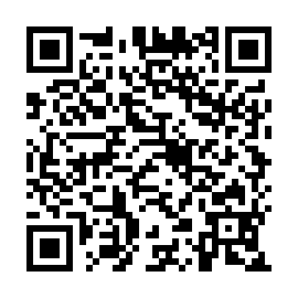 QR b295e31