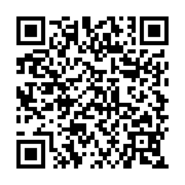 QR b2f8c1e