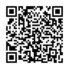 QR b306bdb