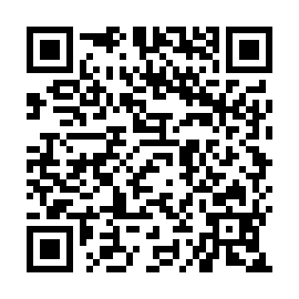 QR b30c33a