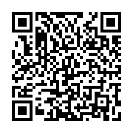 QR b30e68f