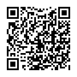 QR b313b3e