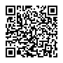 QR b32e0e8