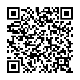 QR b330ace