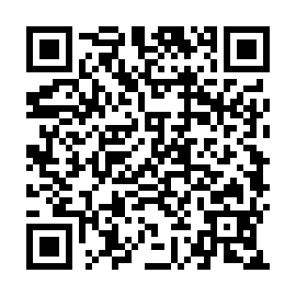 QR b331f3d