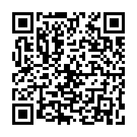 QR b335df1
