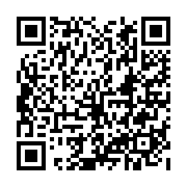 QR b338e86