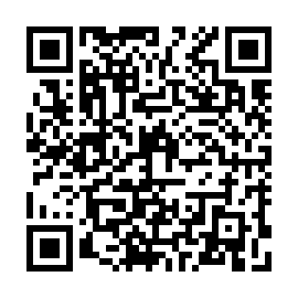 QR b33ae27
