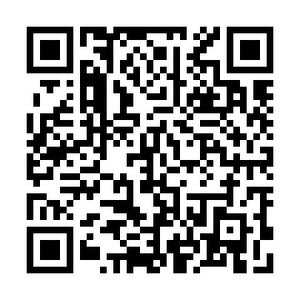 QR b33e98f