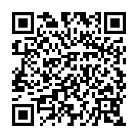 QR b385207