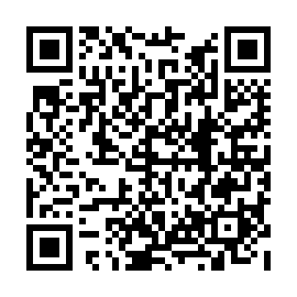 QR b389f8e