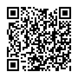 QR b38a4e5