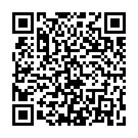 QR b38a92b