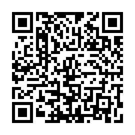 QR b390f06