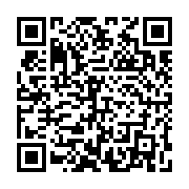 QR b3929a3