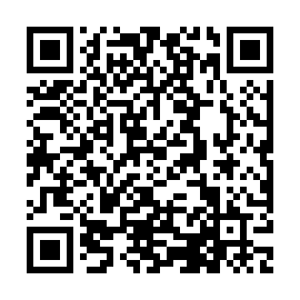 QR b393cef
