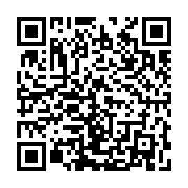 QR b3a03b8