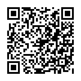 QR b3a874a