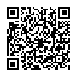 QR b3f63f4