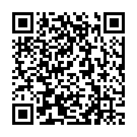 QR b533db0