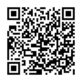 QR b53d863