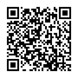 QR b53ff8b