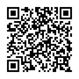 QR b541a3f