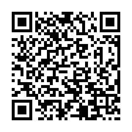 QR b637e07