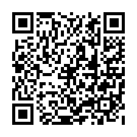 QR b638d41