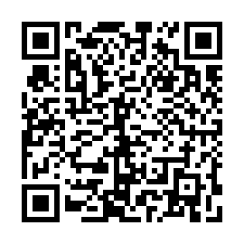 QR b6b3133