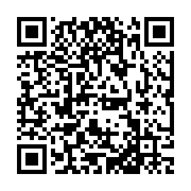 QR b729a03