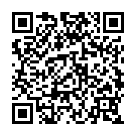 QR b729f0f