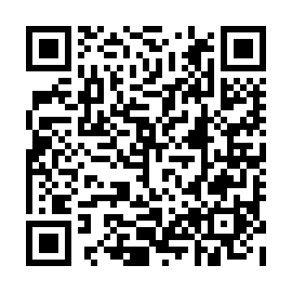 QR b738593