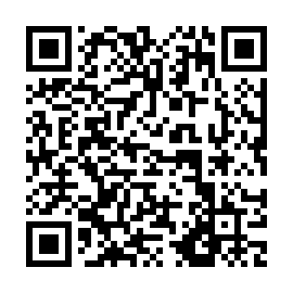 QR b78e729