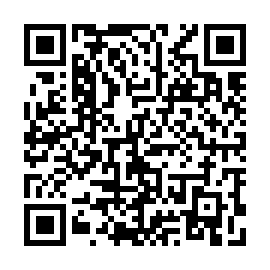 QR b81c29f