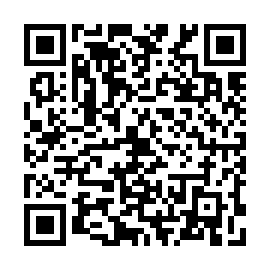 QR b85b58a