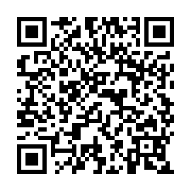 QR b872e17